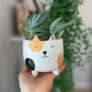 Spotted Calico Cat Planter Pot